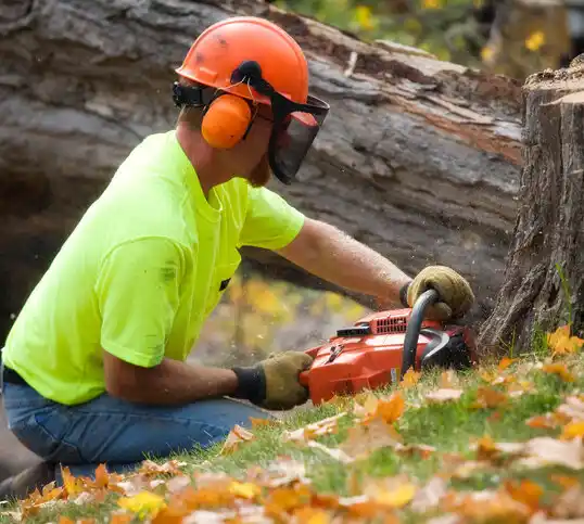 tree services Flushing